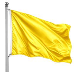 gele vlag aan rvs stok 250