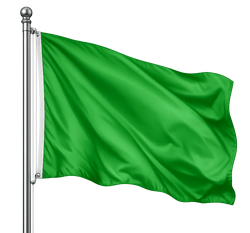 groene vlag aan rvs stok 250