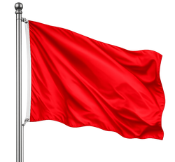 rode vlag aan rvs stok 250